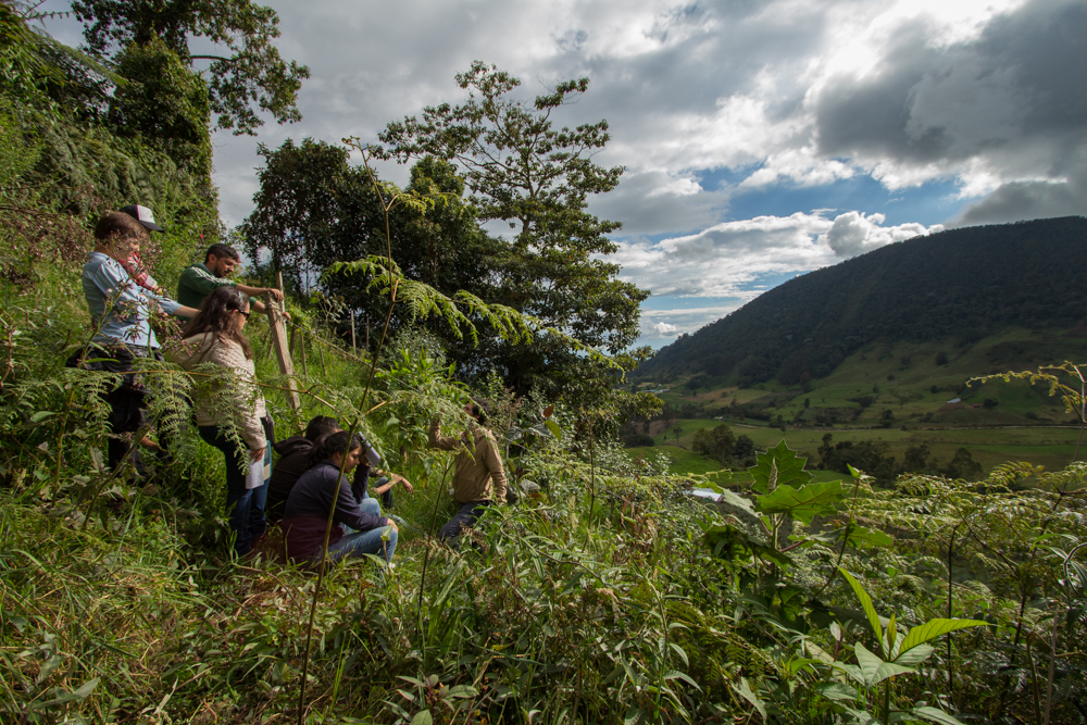 Full article: Perspectives on agroecological transition: the case of  Guachetá municipality, Colombia